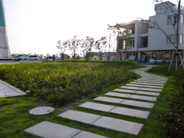 豊洲まちなみ公園