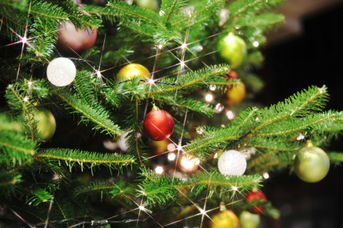 がすてなーにのクリスマス