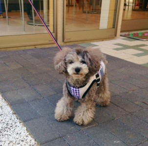 1939624_1473688432847001_1902826335_n