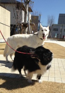 1975055_1473688372847007_113483131_n