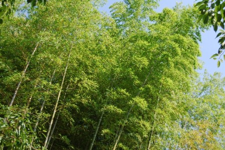 c0f2e5e7d8025dda283963d1c7ba3546_s