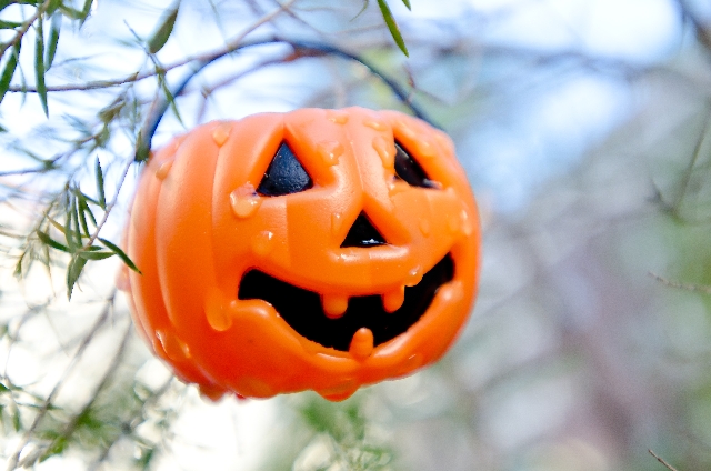 c535d9236d53b1351dd0be1b3b24cf01_s