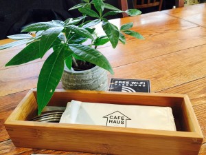 CAFE HAUS　3 豊洲グルメ　豊洲マガジン