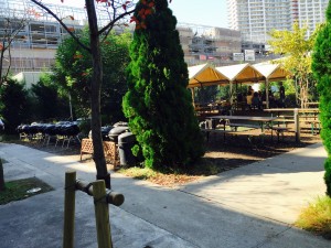 CAFE HAUS　8 豊洲グルメ　豊洲マガジン