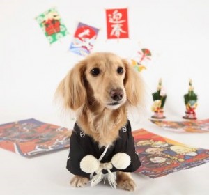 まちなみ公園　新春！開運動物園　3　豊洲マガジン