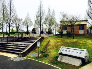 豊洲公園　桜 1 豊洲マガジン