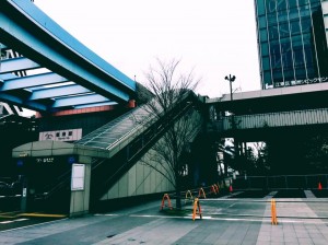 豊洲公園　桜 6 豊洲マガジン