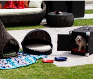 豊洲まちなみ公園　サンデンファニチャー4　豊洲マガジン