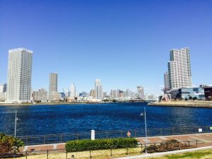 豊洲まちなみ公園 59　豊洲マガジン