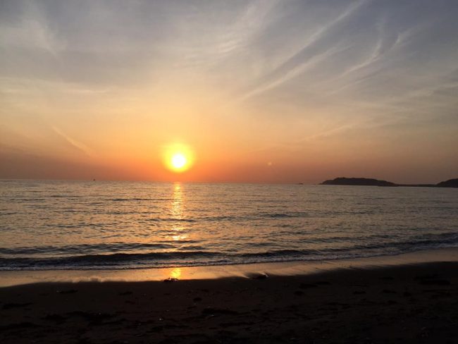 豊洲マガジン13