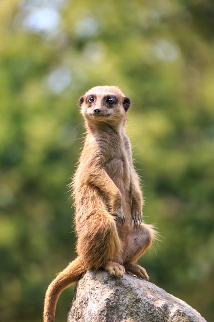 201703豊洲まちなみ公園 イベント 20 豊洲マガジン