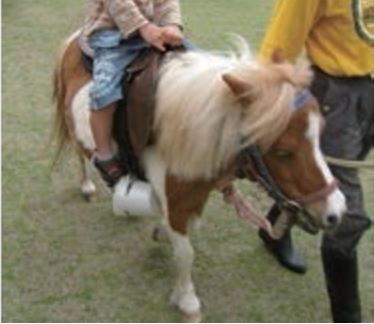 ふれあい動物園　6　豊洲マガジン