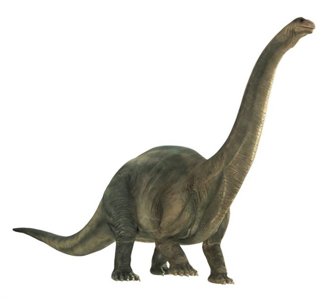 201803豊洲まちなみ公園 4 豊洲マガジン