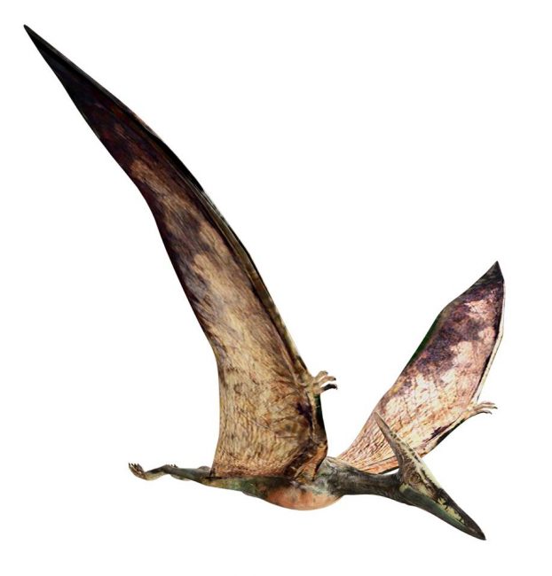 201803豊洲まちなみ公園 3 豊洲マガジン