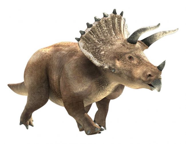 201803豊洲まちなみ公園 2 豊洲マガジン