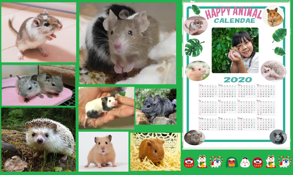 チンチラ＆ハリネズミと可愛いなかまたち