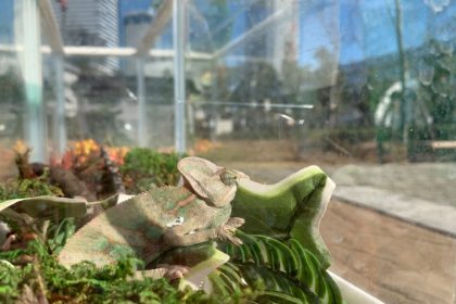 イベントの様子