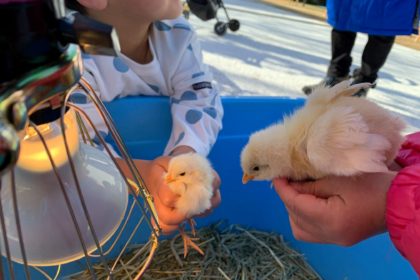 イベントの様子